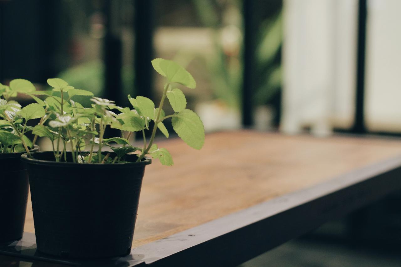 Mint Hostel Bangkok Ngoại thất bức ảnh